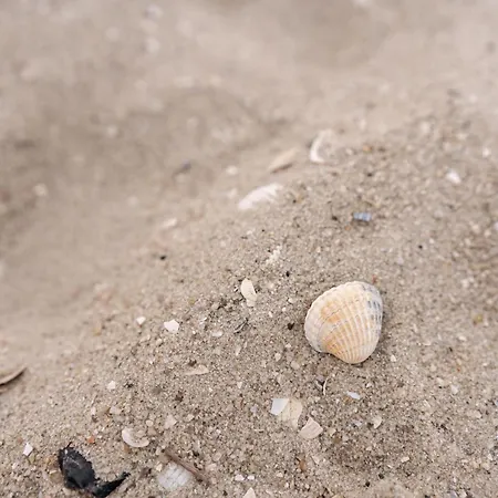 Zweite Heimat 49 0 N * Schillig