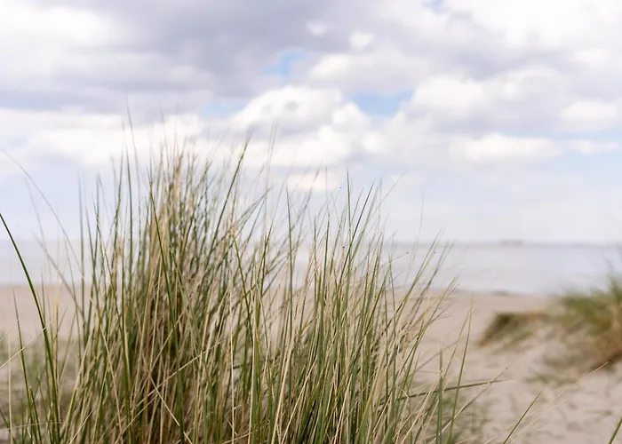 Zweite Heimat 49 0 N Daire