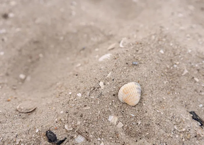 Zweite Heimat 49 0 N * Schillig